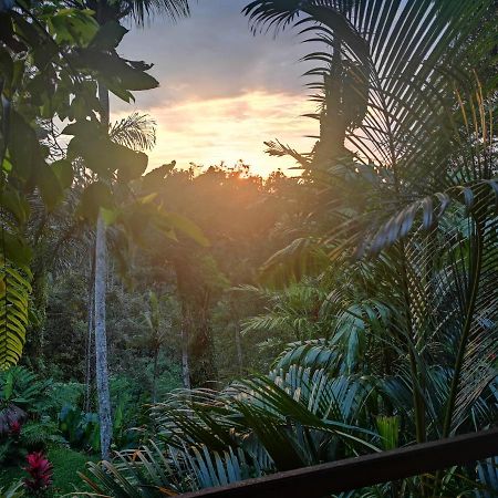 Villa Rimba Ubud 뜨갈랄랑 외부 사진
