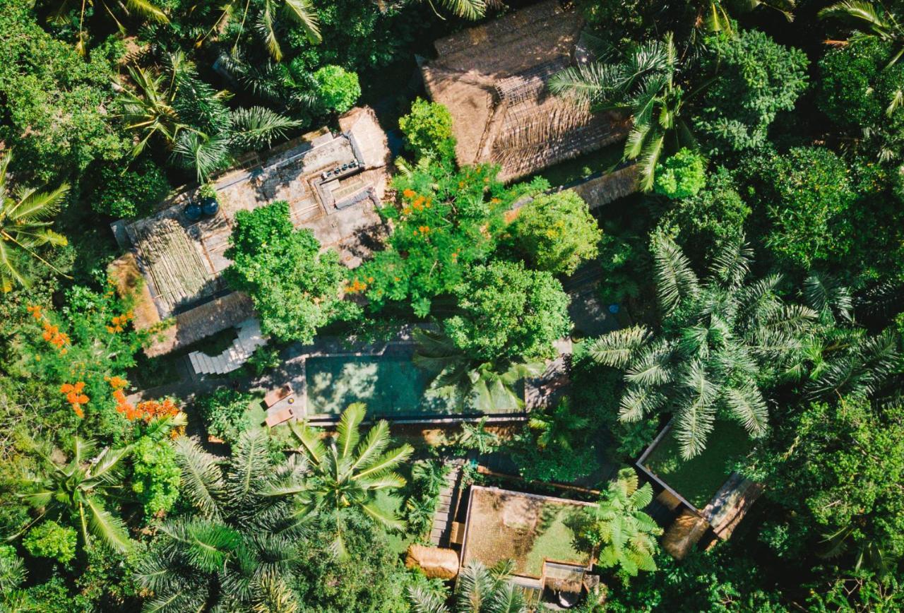 Villa Rimba Ubud 뜨갈랄랑 외부 사진