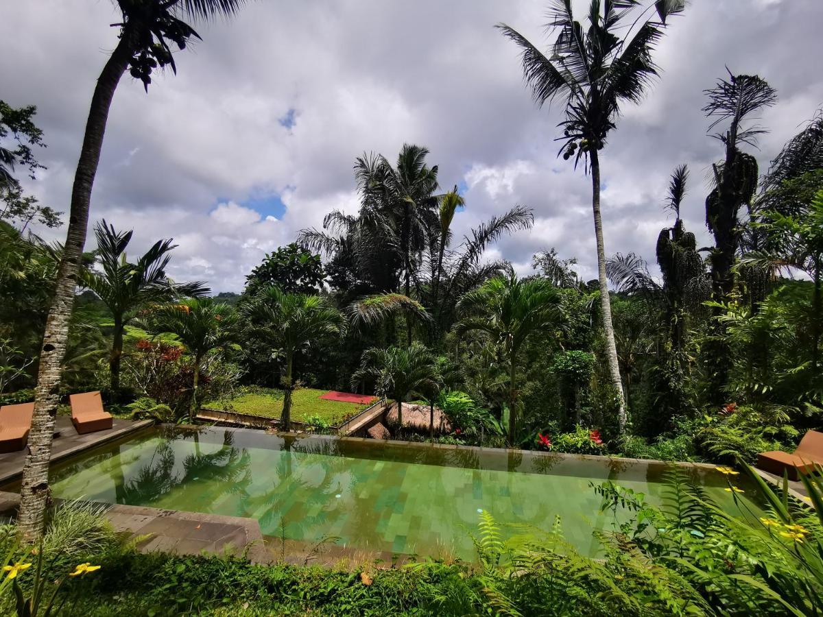 Villa Rimba Ubud 뜨갈랄랑 외부 사진