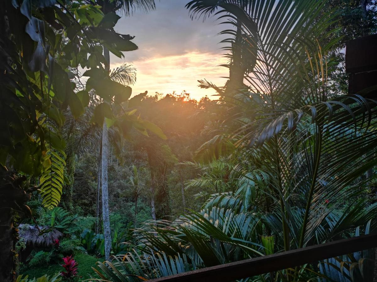 Villa Rimba Ubud 뜨갈랄랑 외부 사진