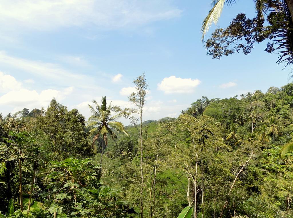 Villa Rimba Ubud 뜨갈랄랑 외부 사진